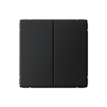 ARTGALLERY 2-клавишный ВЫКЛЮЧАТЕЛЬ, сх.5, 10АХ, механизм, КАРБОН