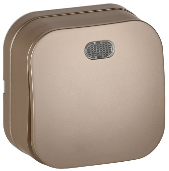 GLORY Выключ. 1-кл. с инд. о/у 10А ВС20-1-1-ХШм шамп. м. IEK